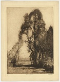 Artist: b'Long, Sydney.' | Title: b'Pastoral softground' | Date: 1918 | Technique: b'softground-etching, printed in brown ink with plate-tone, from one zinc plate' | Copyright: b'Reproduced with the kind permission of the Ophthalmic Research Institute of Australia'