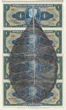 Artist: HALL, Fiona | Title: Anacardium occidentale - Cashew nut (Brazilian currency) | Date: 2000 - 2002 | Technique: gouache | Copyright: © Fiona Hall