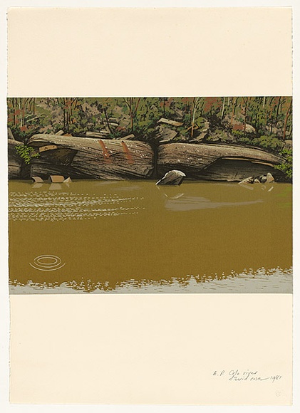 Artist: b'Rose, David.' | Title: b'Colo River' | Date: 1981 | Technique: b'screenprint, printed in colour, from multiple stencils' Artist: b'Rose, David.' | Title: b'Colo River' | Date: 1981 | Technique: b'screenprint, printed in colour, from multiple stencils'