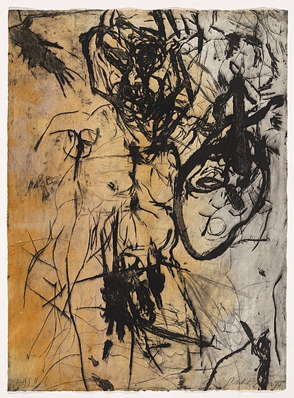 Artist: b'PARR, Mike' | Title: b'Polish mud # 6' | Date: 1995 | Technique: b'drypoint and lift-ground aquatint, printed in colour, from 2 copper plates' Artist: b'PARR, Mike' | Title: b'Polish mud # 6' | Date: 1995 | Technique: b'drypoint and lift-ground aquatint, printed in colour, from 2 copper plates'