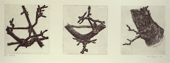 Artist: b'Laspargis, Paul.' | Title: b'not titled [studies of plants]' | Date: 1981 | Technique: b'etching, printed in black ink, from three plates'