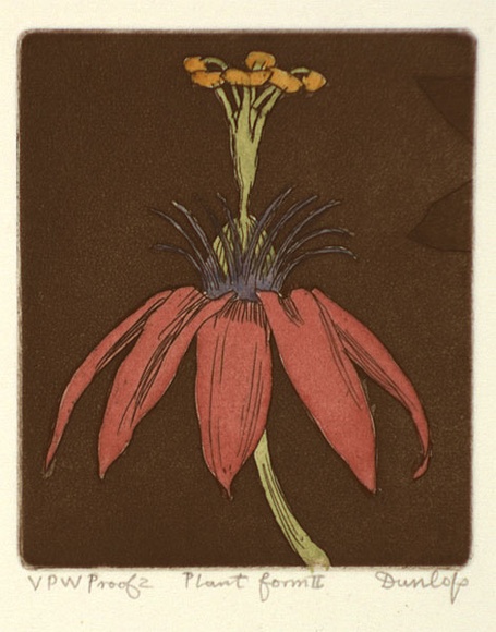 Artist: b'Dunlop, Brian.' | Title: b'Plant form II' | Date: 1989, 31 January | Technique: b'etching and aquatint, printed in sepia ink, from one plate; hand-coloured' Artist: b'Dunlop, Brian.' | Title: b'Plant form II' | Date: 1989, 31 January | Technique: b'etching and aquatint, printed in sepia ink, from one plate; hand-coloured'