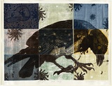 Artist: SHIMMEN, Heather | Title: Delayed birdsong. | Technique: linocut | Copyright: © Heather Shimmen