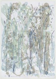 Artist: MEYER, Bill | Title: Holcombe Forest II | Date: 1988 | Technique: screenprint, printed in colour, from multiple stencils | Copyright: © Bill Meyer