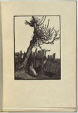 Artist: LINDSAY, Lionel | Title: The broken fence | Date: 1924 | Technique: woodengraving, printed in black ink, from one block | Copyright: Courtesy of the National Library of Australia