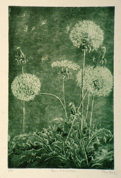Artist: b'Dwyer, Ella.' | Title: bFour o'clocks. | Date: (1936) | Technique: b'aquatint, printed in green ink, from one plate' Artist: b'Dwyer, Ella.' | Title: bFour o'clocks. | Date: (1936) | Technique: b'aquatint, printed in green ink, from one plate'