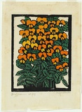 Artist: PRESTON, Margaret | Title: Platylobium | Date: 1925 | Technique: woodcut, printed in black ink, from one block; hand-coloured | Copyright: © Margaret Preston. Licensed by VISCOPY, Australia