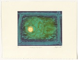 Artist: Martin, Seraphina. | Title: Interplay of living organism | Technique: etching and aquatint, printed in colour, from multiple plates