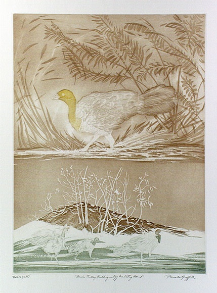 Artist: b'GRIFFITH, Pamela' | Title: b'The Brush Turkey building and egg incubating mound' | Date: 1989 | Technique: b'hard ground, aquatint, printed in colour, from one copper plate' | Copyright: b'\xc2\xa9 Pamela Griffith' Artist: b'GRIFFITH, Pamela' | Title: b'The Brush Turkey building and egg incubating mound' | Date: 1989 | Technique: b'hard ground, aquatint, printed in colour, from one copper plate' | Copyright: b'\xc2\xa9 Pamela Griffith'