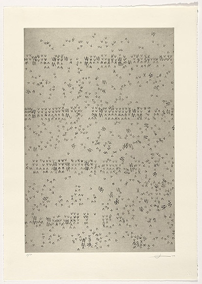 Artist: b'Rose, Jacqueline.' | Title: b'Improvisations' | Date: 2002 | Technique: b'etching, printed in black and green ink, from two copper plates'