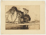 Artist: LONG, Sydney | Title: The lake, Avoca | Date: 1926 | Technique: line-etching and drypoint, printed in brown ink with plate-tone, from one zinc plate | Copyright: Reproduced with the kind permission of the Ophthalmic Research Institute of Australia