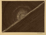 Artist: Cherel, Kumanjayi (Butcher). | Title: Sunrise | Date: 1994, October - November | Technique: linocut, printed in black ink, from one block