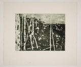 Artist: Haxton, Elaine | Title: Hillside | Technique: etching, aquatint, printed in green ink