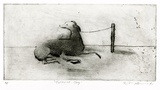 Artist: McKenna, Noel. | Title: Tethered dog | Date: 1991 | Technique: etching and aquatint printed in black ink, from one plate | Copyright: © Noel McKenna