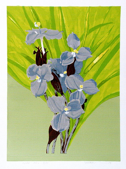 Artist: b'letcher, William.' | Title: b'Wild Iris.' | Date: 1979 | Technique: b'screenprint, printed in colour, from multiple stencils' | Copyright: b'With the permission of The William Fletcher Trust which provides assistance to young artists.' Artist: b'letcher, William.' | Title: b'Wild Iris.' | Date: 1979 | Technique: b'screenprint, printed in colour, from multiple stencils' | Copyright: b'With the permission of The William Fletcher Trust which provides assistance to young artists.'
