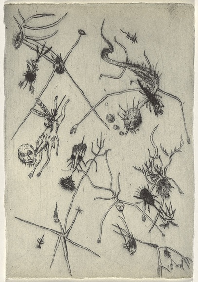 Artist: b'Uhlmann, Paul.' | Title: b'New Insecta Queensland by A A Girault.' | Date: 1989 | Technique: b'etching' Artist: b'Uhlmann, Paul.' | Title: b'New Insecta Queensland by A A Girault.' | Date: 1989 | Technique: b'etching'