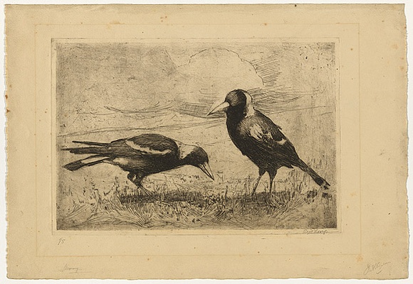 Artist: b'Long, Sydney.' | Title: b'Magpies feeding' | Date: c.1919 | Technique: b'line-etching, printed in black ink with plate-tone, from one zinc plate' | Copyright: b'Reproduced with the kind permission of the Ophthalmic Research Institute of Australia' Artist: b'Long, Sydney.' | Title: b'Magpies feeding' | Date: c.1919 | Technique: b'line-etching, printed in black ink with plate-tone, from one zinc plate' | Copyright: b'Reproduced with the kind permission of the Ophthalmic Research Institute of Australia'
