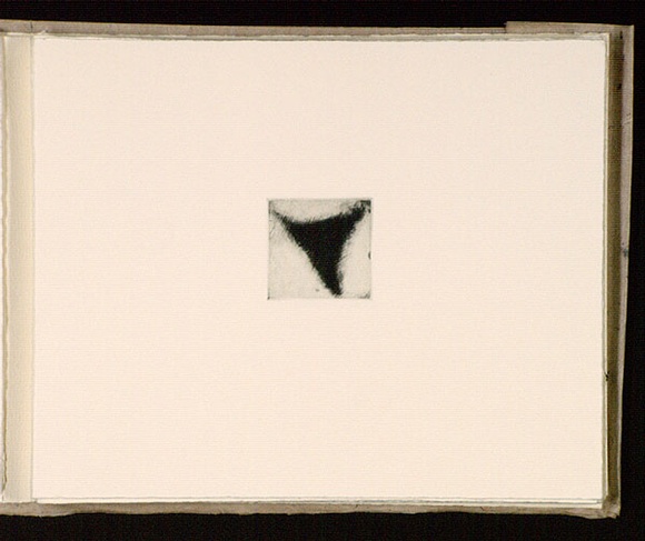 Artist: b'Mann, Gillian.' | Title: b'(Triangle within a rectangle).' | Date: 1981 | Technique: b'etching, printed in black ink, from one plate' Artist: b'Mann, Gillian.' | Title: b'(Triangle within a rectangle).' | Date: 1981 | Technique: b'etching, printed in black ink, from one plate'