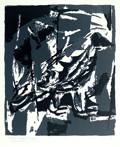 Artist: b'Brash, Barbara.' | Title: b'White backed magpie.' | Date: 1965 | Technique: b'screenprint, printed in colour, from four stencils' Artist: b'Brash, Barbara.' | Title: b'White backed magpie.' | Date: 1965 | Technique: b'screenprint, printed in colour, from four stencils'