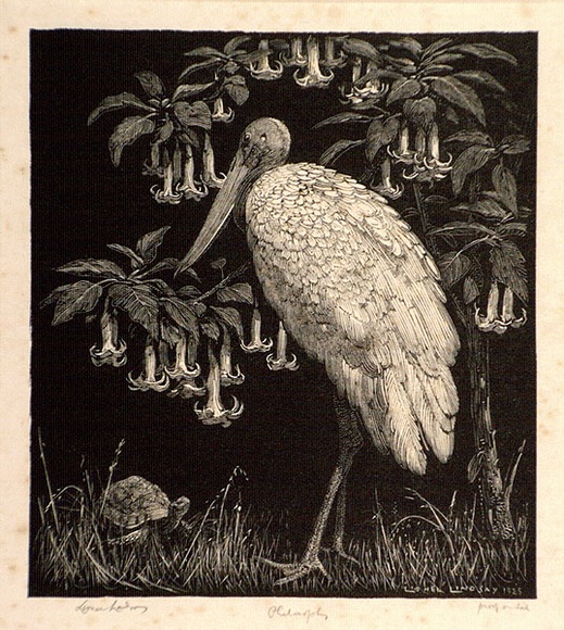 Artist: b'LINDSAY, Lionel' | Title: b'Philosophy' | Date: 1925 | Technique: b'wood-engraving, printed in black ink, from one block' | Copyright: b'Courtesy of the National Library of Australia' Artist: b'LINDSAY, Lionel' | Title: b'Philosophy' | Date: 1925 | Technique: b'wood-engraving, printed in black ink, from one block' | Copyright: b'Courtesy of the National Library of Australia'