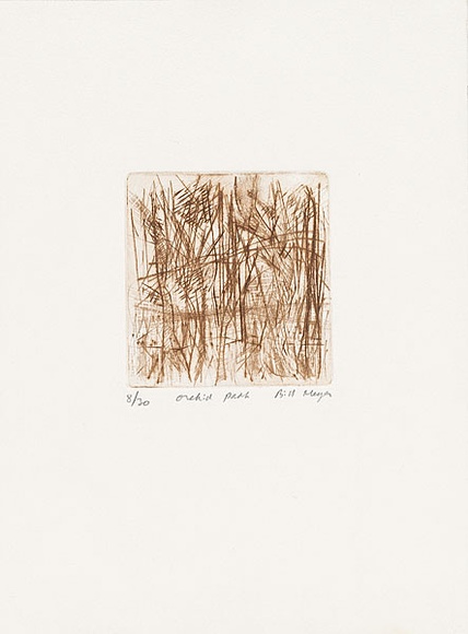 Artist: b'MEYER, Bill' | Title: b'Orchid path' | Date: 1988 | Technique: b'line etching, printed in brown ink with plate-tone, from one zinc plate' | Copyright: b'\xc2\xa9 Bill Meyer' Artist: b'MEYER, Bill' | Title: b'Orchid path' | Date: 1988 | Technique: b'line etching, printed in brown ink with plate-tone, from one zinc plate' | Copyright: b'\xc2\xa9 Bill Meyer'