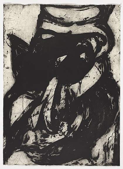 Artist: b'PARR, Mike' | Title: b'The psychopathic family, # 9.' | Date: 1994 | Technique: b'lift-ground aquatint, printed in black ink, from one copper plate' Artist: b'PARR, Mike' | Title: b'The psychopathic family, # 9.' | Date: 1994 | Technique: b'lift-ground aquatint, printed in black ink, from one copper plate'