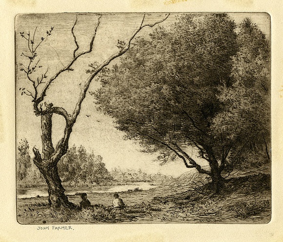 Artist: b'Farmer, John.' | Title: b'Tea tree and Banksia stump.' | Date: c.1960 | Technique: b'etching, printed in black ink with plate-tone, from one plate' Artist: b'Farmer, John.' | Title: b'Tea tree and Banksia stump.' | Date: c.1960 | Technique: b'etching, printed in black ink with plate-tone, from one plate'
