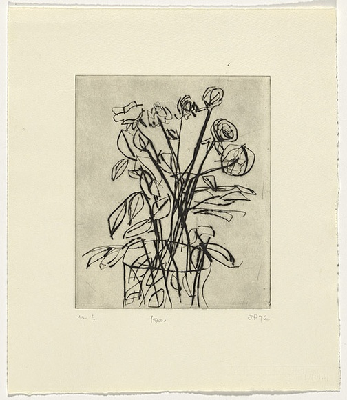 Artist: b'Furlonger, Joe.' | Title: b'Roses' | Date: 1992 | Technique: b'etching, printed in black ink, from one plate' Artist: b'Furlonger, Joe.' | Title: b'Roses' | Date: 1992 | Technique: b'etching, printed in black ink, from one plate'