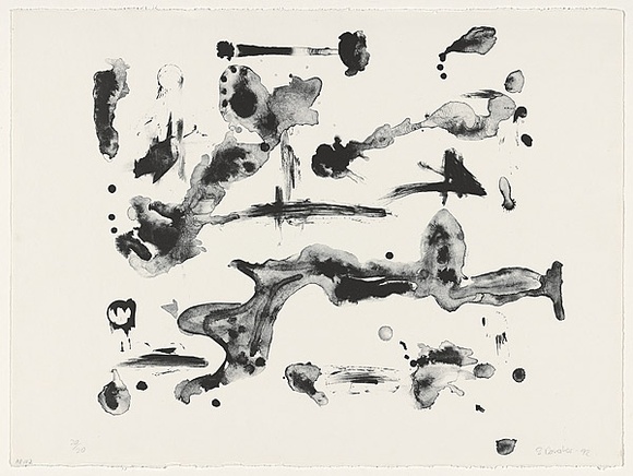 Artist: b'Danaher, Suzanne.' | Title: b'The paramecium' | Date: 1992 | Technique: b'lithograph; printed in black ink, from one stone' Artist: b'Danaher, Suzanne.' | Title: b'The paramecium' | Date: 1992 | Technique: b'lithograph; printed in black ink, from one stone'