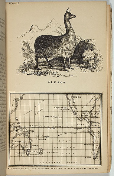 Artist: b'Ham Brothers.' | Title: b'Alpaca and map showing the route from California and Peru to Australia and Tasmania.' | Date: 1850 | Technique: b'lithograph, printed in black ink, from one stone' Artist: b'Ham Brothers.' | Title: b'Alpaca and map showing the route from California and Peru to Australia and Tasmania.' | Date: 1850 | Technique: b'lithograph, printed in black ink, from one stone'