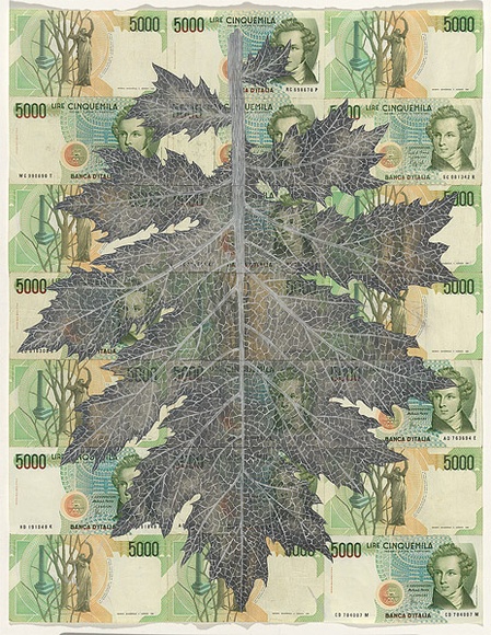 Artist: b'HALL, Fiona' | Title: bAcanthus mollis - Bear's breeches (Italian currency) | Date: 2000 - 2002 | Technique: b'gouache' | Copyright: b'\xc2\xa9 Fiona Hall' Artist: b'HALL, Fiona' | Title: bAcanthus mollis - Bear's breeches (Italian currency) | Date: 2000 - 2002 | Technique: b'gouache' | Copyright: b'\xc2\xa9 Fiona Hall'