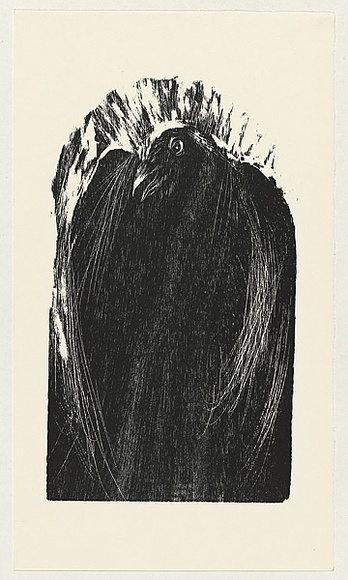Artist: b'AMOR, Rick' | Title: b'not titled (large raven front on 3).' | Date: (1990) | Technique: b'woodcut, printed in black ink, from one block' Artist: b'AMOR, Rick' | Title: b'not titled (large raven front on 3).' | Date: (1990) | Technique: b'woodcut, printed in black ink, from one block'