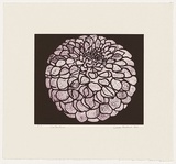 Artist: Forthun, Louise. | Title: Valentine | Date: 2001 | Technique: etching, printed in purple ink, from one copper plate