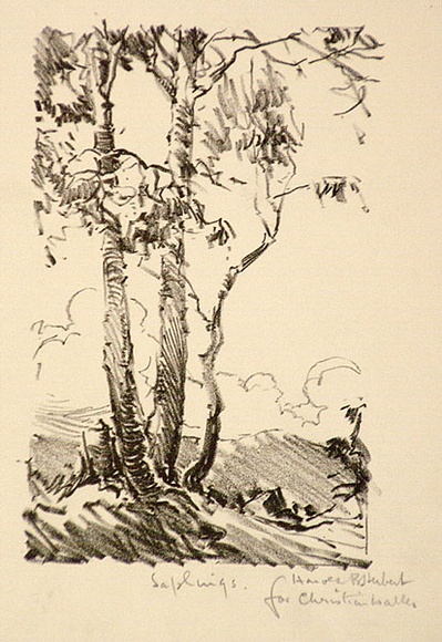 Artist: b'Herbert, Harold.' | Title: b'Greeting card: Saplings' | Date: c.1933 | Technique: b'lithograph, printed in black ink, from one stone' Artist: b'Herbert, Harold.' | Title: b'Greeting card: Saplings' | Date: c.1933 | Technique: b'lithograph, printed in black ink, from one stone'
