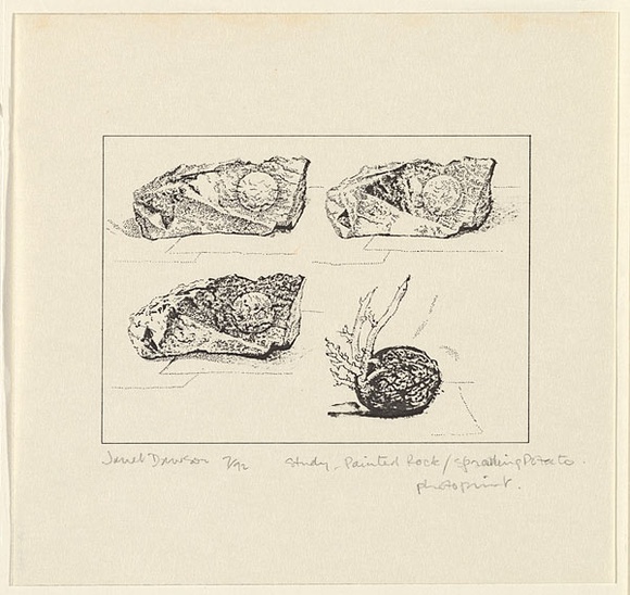 Artist: b'Dawson, Janet.' | Title: b'Study: Painted rock, sprouting potato.' | Date: 1992, July | Technique: b'photo-lithograph, printed in black ink, from one plate' | Copyright: b'\xc2\xa9 Janet Dawson. Licensed by VISCOPY, Australia' Artist: b'Dawson, Janet.' | Title: b'Study: Painted rock, sprouting potato.' | Date: 1992, July | Technique: b'photo-lithograph, printed in black ink, from one plate' | Copyright: b'\xc2\xa9 Janet Dawson. Licensed by VISCOPY, Australia'