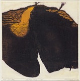 Artist: Hodgkinson, Frank. | Title: Landscape inside...hot | Date: 1971 | Technique: hard ground etching and deep etching, printed by the oil viscosity method, from one plate [orange]