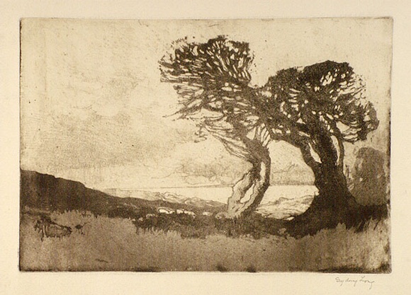 Artist: b'Long, Sydney.' | Title: b'A Cornish landscape' | Date: (1919) | Technique: b'softground, aquatint' | Copyright: b'Reproduced with the kind permission of the Ophthalmic Research Institute of Australia' Artist: b'Long, Sydney.' | Title: b'A Cornish landscape' | Date: (1919) | Technique: b'softground, aquatint' | Copyright: b'Reproduced with the kind permission of the Ophthalmic Research Institute of Australia'