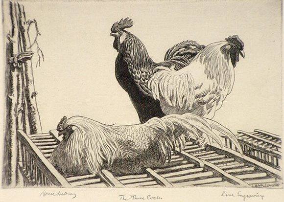 Artist: b'LINDSAY, Lionel' | Title: b'The three cocks' | Date: 1942 | Technique: b'line-engraving, printed in black ink, from one copper plate' | Copyright: b'Courtesy of the National Library of Australia' Artist: b'LINDSAY, Lionel' | Title: b'The three cocks' | Date: 1942 | Technique: b'line-engraving, printed in black ink, from one copper plate' | Copyright: b'Courtesy of the National Library of Australia'