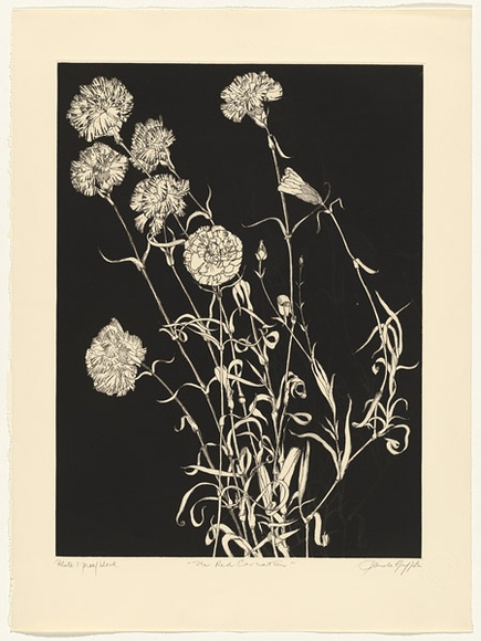 Artist: b'GRIFFITH, Pamela' | Title: b'TF' | Date: 1988 | Technique: b'hardground-etching and aquatint, printed in black ink, from one copper plate' | Copyright: b'\xc2\xa9 Pamela Griffith' Artist: b'GRIFFITH, Pamela' | Title: b'TF' | Date: 1988 | Technique: b'hardground-etching and aquatint, printed in black ink, from one copper plate' | Copyright: b'\xc2\xa9 Pamela Griffith'