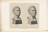 Artist: b'Law, Benjamin.' | Title: b'Guenney [and] Timmey' | Technique: b'lithograph, printed in black ink, from one stone'