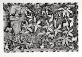 Artist: b'COLEING, Tony' | Title: b'Tahiti - Perle du Pacifique.' | Date: 1984 | Technique: b'etching and aquatint, printed in black ink, from one zinc plate'