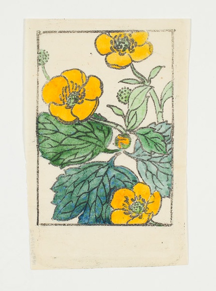 Artist: b'Sutherland, Jean.' | Title: b'not titled [yellow, green flowers]'