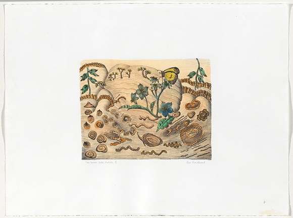 Artist: b'Bradhurst, Jane.' | Title: b'Time corridor Central Australia.' | Date: c.1995-97 | Technique: b'lithograph, printed in colour, from multiple stones' Artist: b'Bradhurst, Jane.' | Title: b'Time corridor Central Australia.' | Date: c.1995-97 | Technique: b'lithograph, printed in colour, from multiple stones'