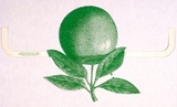 Artist: Sharp, Martin. | Title: not titled [apple, costume glasses]: face-mask from a Yellow House event.. | Date: c.1972 | Technique: offset-lithograph, printed in colour, from one plate