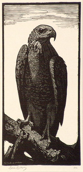 Artist: b'LINDSAY, Lionel' | Title: b'The brown hawk' | Date: 1924 | Technique: b'wood-engraving, printed in black ink, from one block' | Copyright: b'Courtesy of the National Library of Australia' Artist: b'LINDSAY, Lionel' | Title: b'The brown hawk' | Date: 1924 | Technique: b'wood-engraving, printed in black ink, from one block' | Copyright: b'Courtesy of the National Library of Australia'