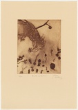 Artist: Olsen, John. | Title: Black cockatoo | Date: 1978 | Technique: etching and aquatint, printed in brown ink with plate-tone, from one plate | Copyright: © John Olsen. Licensed by VISCOPY, Australia