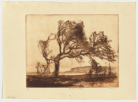 Artist: b'Long, Sydney.' | Title: b'Dee Why landscape' | Date: 1928 | Technique: b'line-etching, printed in red-brown ink with plate-tone, from one zinc plate' | Copyright: b'Reproduced with the kind permission of the Ophthalmic Research Institute of Australia' Artist: b'Long, Sydney.' | Title: b'Dee Why landscape' | Date: 1928 | Technique: b'line-etching, printed in red-brown ink with plate-tone, from one zinc plate' | Copyright: b'Reproduced with the kind permission of the Ophthalmic Research Institute of Australia'