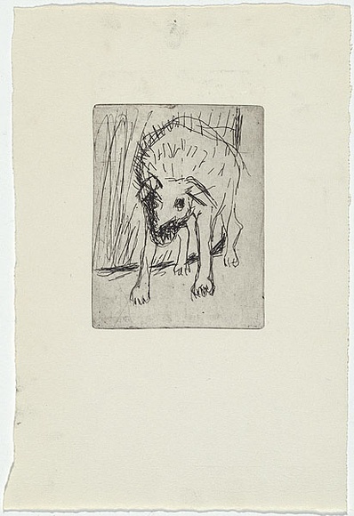 Artist: b'MADDOCK, Bea' | Title: b'(Dog at a gate).' | Date: 1967 | Technique: b'etching, printed in black ink with plate-tone, from one zinc plate' Artist: b'MADDOCK, Bea' | Title: b'(Dog at a gate).' | Date: 1967 | Technique: b'etching, printed in black ink with plate-tone, from one zinc plate'