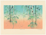 Artist: Hadley, Basil. | Title: Kakadu scrub. | Date: 1989 | Technique: screenprint, printed in colour, from seven stencils