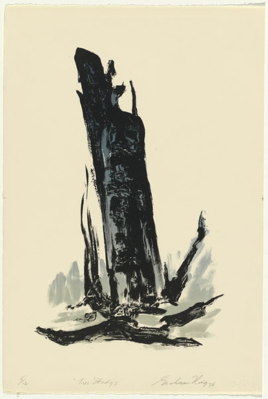 Artist: b'King, Grahame.' | Title: b'Tree Study I' | Date: 1976 | Technique: b'lithograph, printed in colour, from stones [or plates]'